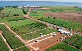 Fatores climáticos e localização geográfica fazem do Tocantins uma das últimas fronteiras agrícolas do mundo