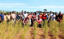 Lideranças indígenas da Amazônia visitam projeto de etnodesenvolvimento que tem apoio do Governo do Tocantins