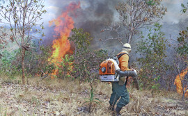 Encerra dia 15, prazo de solicitação de Curso de Formação de Brigadistas pelos municípios