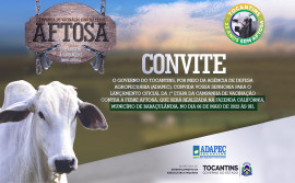 Abertura oficial da 1ª etapa da campanha de vacinação contra febre aftosa será dia 6 de maio, em Babaçulandia