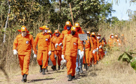 Governo do Tocantins abre inscrições para processo seletivo de brigadistas florestais no Estado