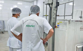 Governo do Tocantins habilita mais três agroindústrias no serviço de inspeção animal