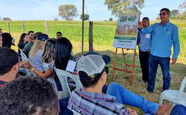 Ruraltins realiza Dia de Campo para mostrar tecnologias e viabilidade econômica na integração Lavoura Pecuária