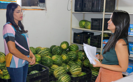 Governo do Tocantins orienta gestores municipais da região Sudeste sobre Política Nacional de Segurança Alimentar e Nutricional
