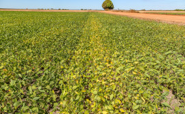 Fundação de Amparo à Pesquisa do Tocantins apóia lançamento de livro sobre mudanças climáticas