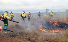 Governo do Tocantins capacita brigadas florestais das Unidades de Conservação