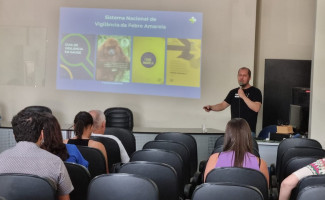 Tocantins recebe técnicos do Ministério da Saúde para capacitação sobre vigilância da Febre Amarela 