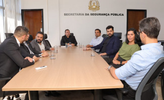 Secretário da Segurança Pública se reúne com representante de empresa de tecnologia 