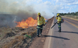 Queimas controladas para prevenir incêndios são realizadas em rodovias