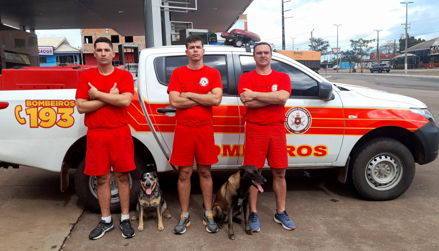 Governo do Tocantins autoriza envio de bombeiros militares e cães