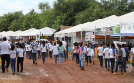 Governo do Tocantins destina mais de R$ 5,5 milhões para a realização de eventos agropecuários em todo o Estado
