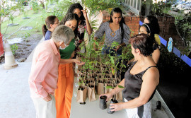Semarh distribui mudas nativas do Cerrado em alusão à Semana do Meio Ambiente
