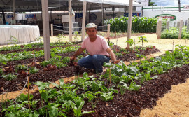 Na Expoara 2022, Ruraltins apresenta propostas economicamente viáveis e sustentáveis para a agricultura familiar