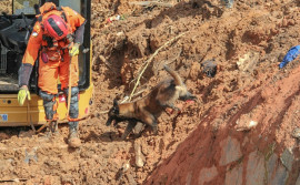 Bombeiros militares tocantinenses voltam para casa, após missão em Pernambuco