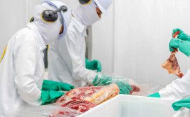 Governo do Tocantins certifica o primeiro frigorífico de carne bovina embalada a vácuo