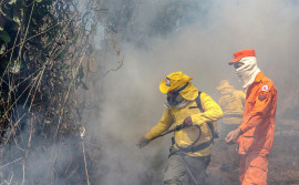 Governo do Tocantins treina brigadistas florestais estaduais para ações no período das queimadas