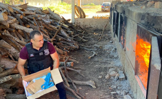Polícia Civil incinera substâncias entorpecentes apreendidas em Colmeia