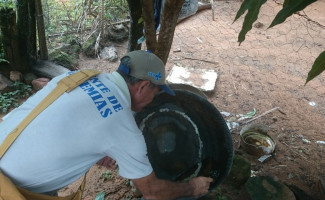 Tocantins tem aumento de casos de arboviroses e Saúde faz alerta 