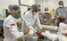 Extensionistas do Ruraltins recebem capacitação sobre a cadeia produtiva de lácteos