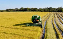 Tocantins comemora dia Nacional da Agricultura Irrigada com avanços na produção de grãos e frutas