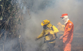 Brigadistas Estaduais iniciam escalas no combate aos incêndios florestais
