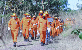 "Guardiões do Bioma” atuarão contra as queimadas e incêndios florestais no Tocantins