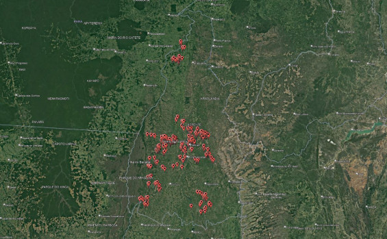 Projeto Foco no Fogo, do Governo do Tocantins, usa nova versão do aplicativo de registro de áreas visitadas