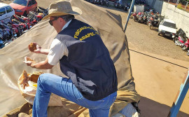 Adapec apreende 10 toneladas de sementes de capim irregular na BR-153, próximo a Araguaína