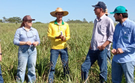 Rota da Pecuária continua com ações de difusão de tecnologias sustentáveis na região do Bico do Papagaio