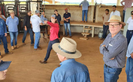 Rota da Pecuária mostra exemplo de fazenda modelo na sucessão familiar agropecuária