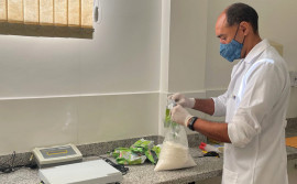 Agência de Metrologia aprova 72,5% das marcas de produtos juninos nos testes laboratoriais