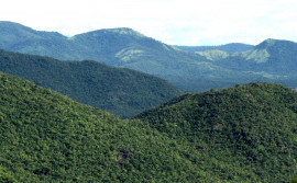 Fundo  Nacional sobre Mudança do Clima está com edital  aberto para mitigação dos gases de efeito estufa 