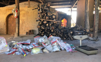Mais de 400 quilos de entorpecentes são incinerados pela Polícia Civil do Tocantins em Palmas e no interior do Estado