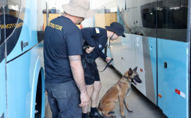 Policiais penais da Seciju participam de Curso de Capacitação e Aperfeiçoamento na Condução de Cães Farejadores