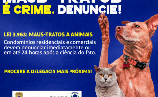 Lei estadual obriga condomínios residenciais e comerciais a comunicar, aos órgãos de segurança pública, casos de maus-tratos a animais