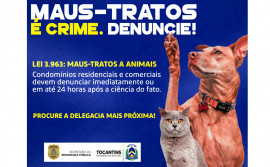 Lei estadual obriga condomínios residenciais e comerciais a comunicar aos órgãos de segurança pública casos de maus-tratos a animais