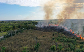 Naturatins suspende emissões e vigência de autorizações de queima controlada no Estado