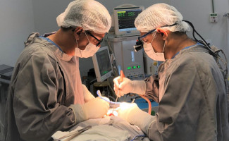 Bico do Papagaio recebe cirurgias neurológicas inéditas