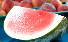 Projeto Manoel Alves mostra avanços das tecnologias na produção de frutas no 4° Tecnifruti