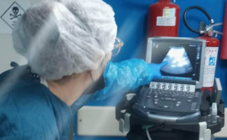 Médicos do SVO-TO participam de capacitação na USP
