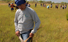 Naturatins intensifica fiscalização nos campos de capim-dourado no Jalapão