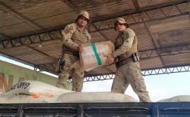Polícia Militar do Tocantins em ação conjunta apreende 800 kg de maconha na BR-153 em Talismã