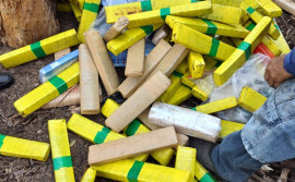 Polícia Civil incinera cerca de 1 tonelada de drogas em Guaraí e Araguatins 