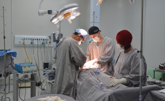 Setembro Verde finaliza com mais uma captação de órgãos no HGP