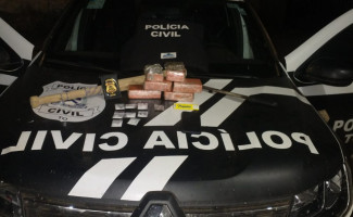 Polícia Civil apreende mais de 2 kg de drogas e prende homem por tráfico em Palmeirópolis