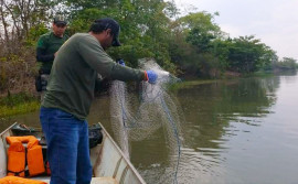Naturatins realiza operação de fiscalização entre os estados do Tocantins e do Maranhão