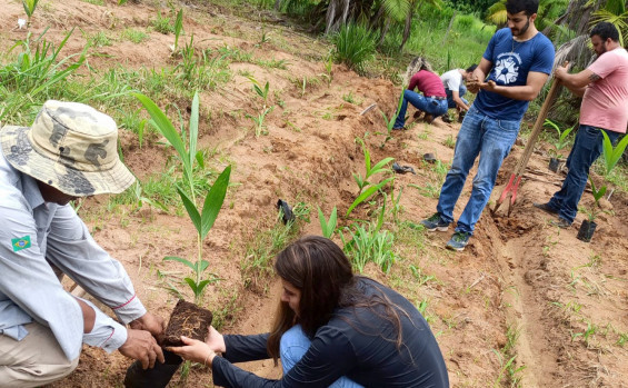 Em um ano de gestão comprometida com a agricultura familiar, Governo do Tocantins supera meta de atendimentos a famílias rurais