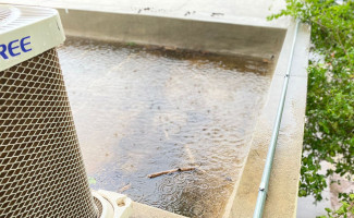 Saúde alerta para período de chuvas e o aumento de doenças relacionadas ao Aedes aegypti