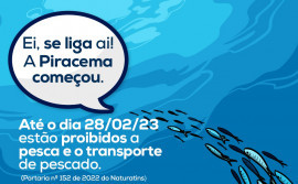 Piracema começa nesta terça-feira, 1° de novembro