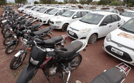 Governo do Tocantins prepara licitação de veículos e mercadorias